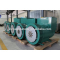 250kw 400v Single/Double Bearing Brushless Alternator IP23 H Class Generator